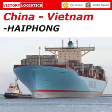 Agent maritime d&#39;expédition / expédition de conteneur / agent de fret à Haiphong, Vietnam